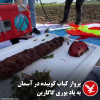 ببینید | تلاش ناموفق آشپز ترکیه‌ای برای ارسال کباب به فضا!